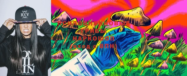сатива Богородск
