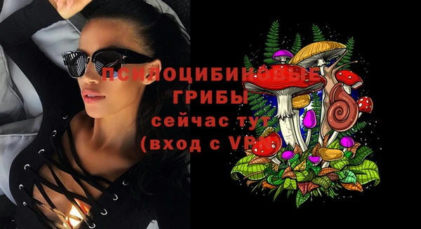 jwh Богородицк