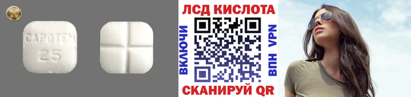 ЛСД экстази ecstasy  MEGA как зайти  Шахунья 